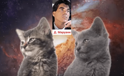 Кошачий дуэт_(М)